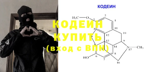 молекула духа Тында
